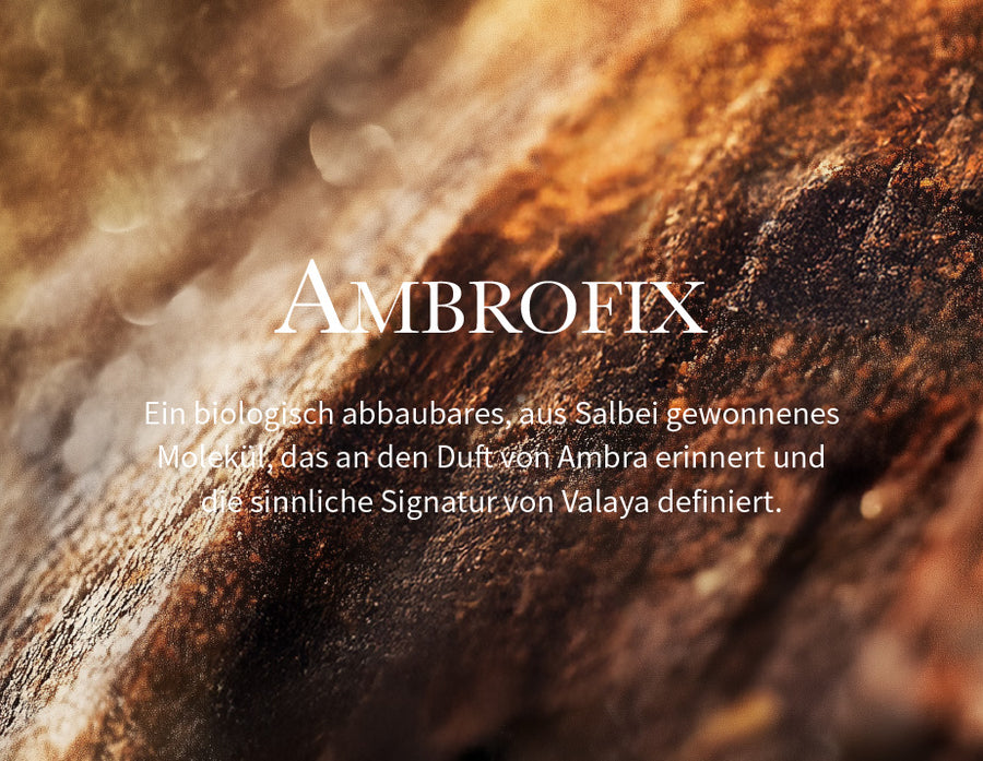 Image alt text Mobile