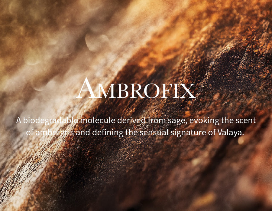 Image alt text Mobile