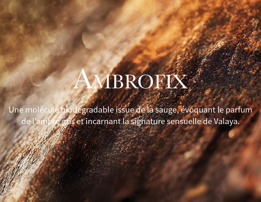 Image alt text Mobile