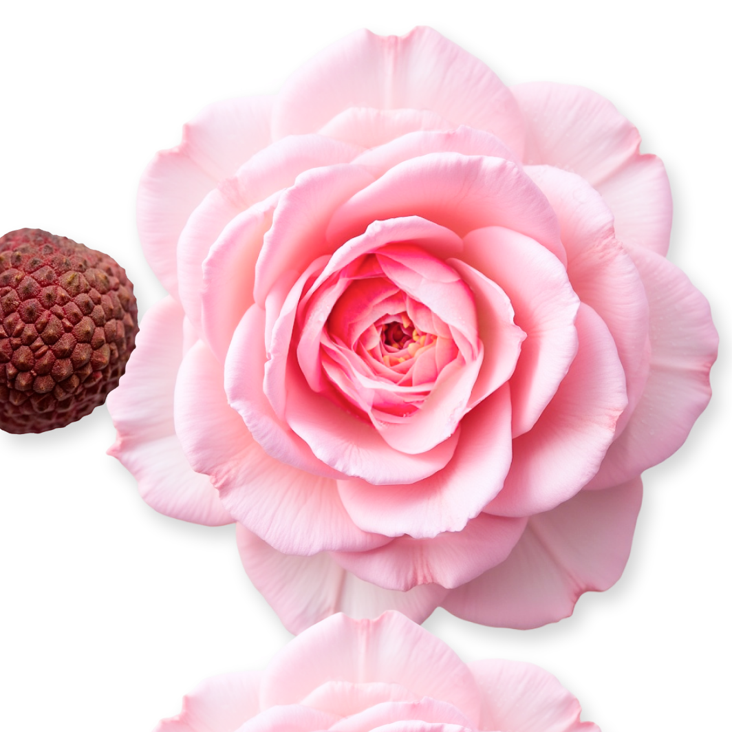 DELINA NACHFÜLLBARE BODY CREAM