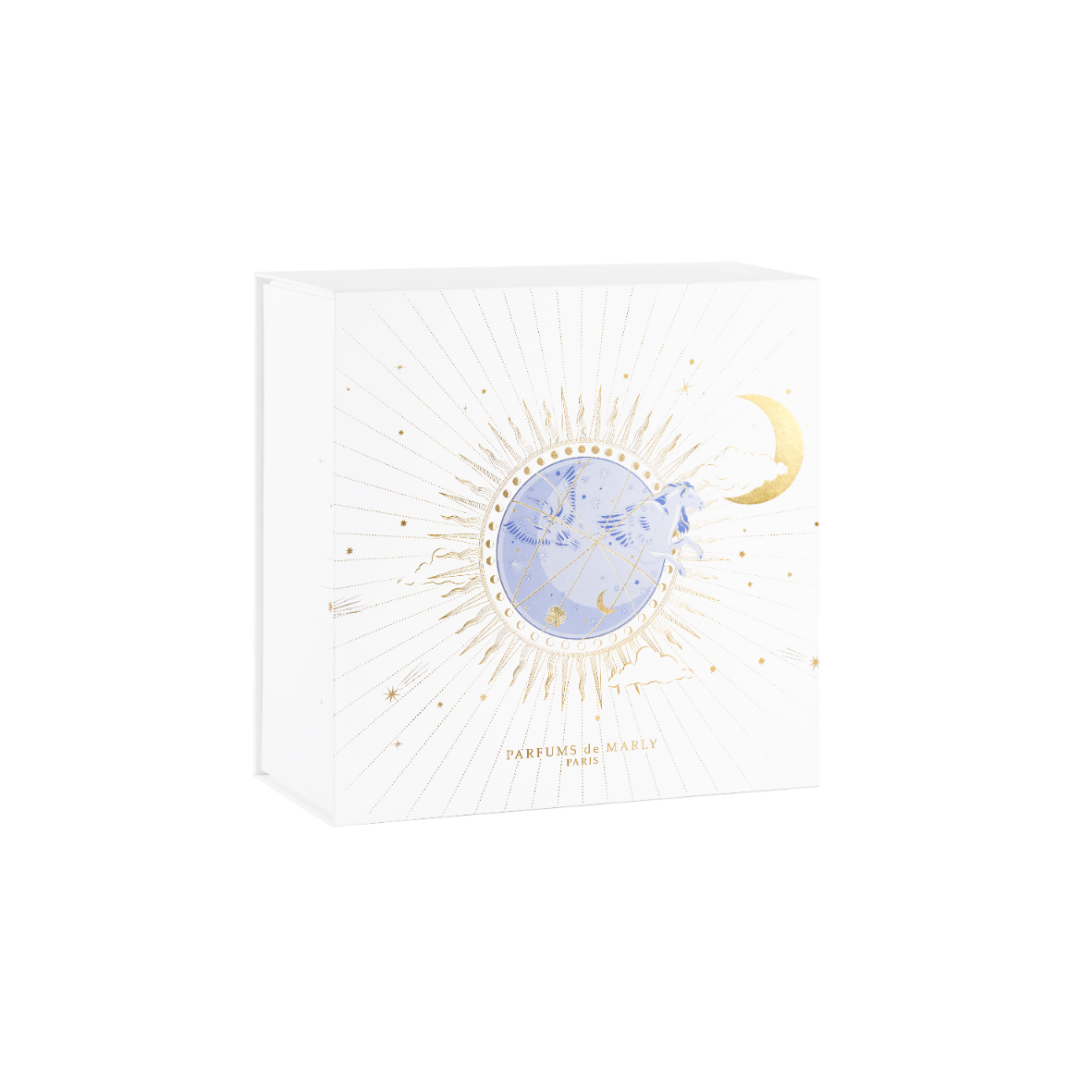 FESTIVE GIFT BOX