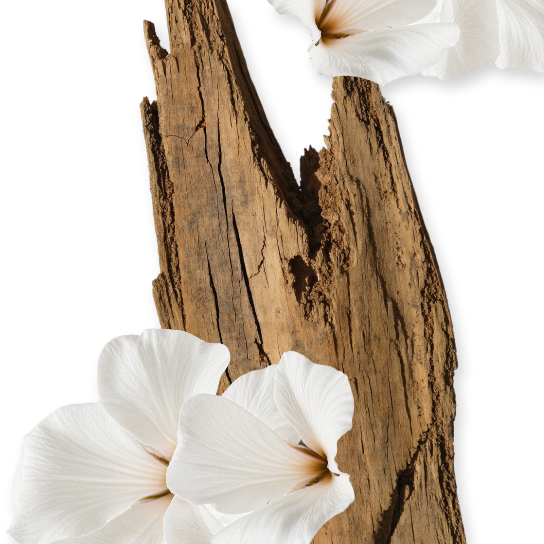 VALAYA HAARPARFUM