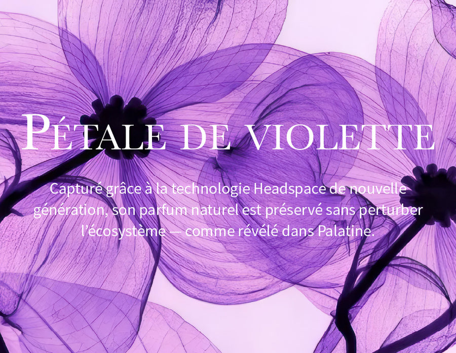 Image alt text Mobile