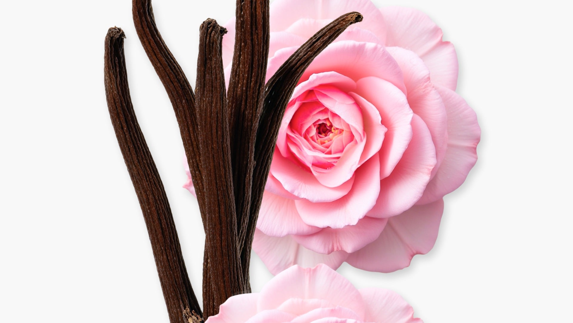 Delina Exclusive 75ml １００００％正規品 Delina Exclusif Parfum (75ml) - Parfums de Marly Official Website