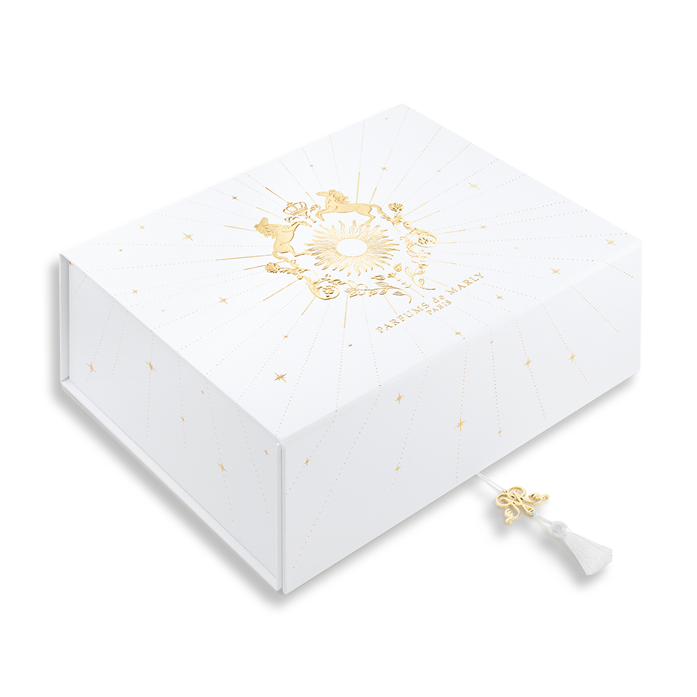 ‍LARGE GIFT BOX