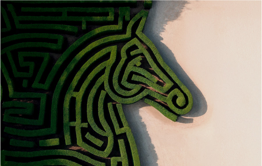 New & trending bu Parfums de Marly