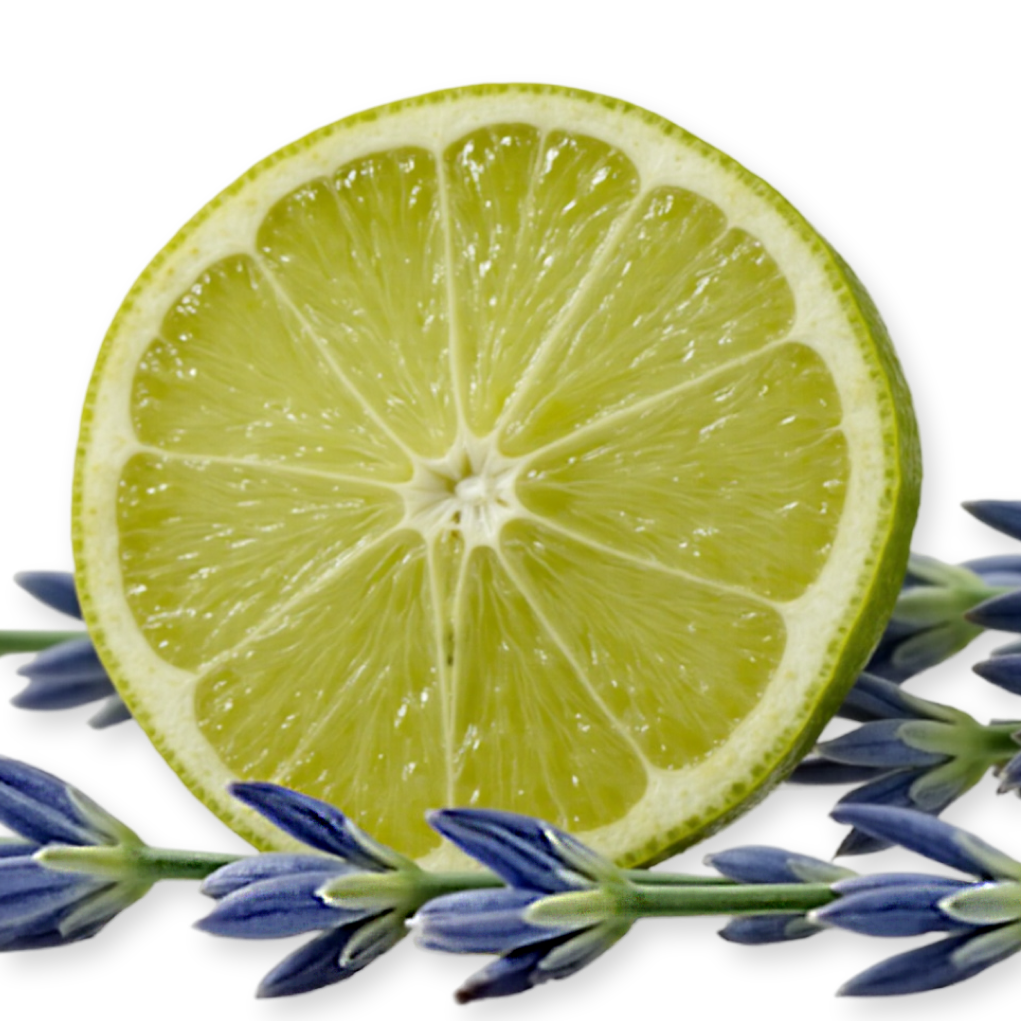 GEL DOUCHE PERCIVAL