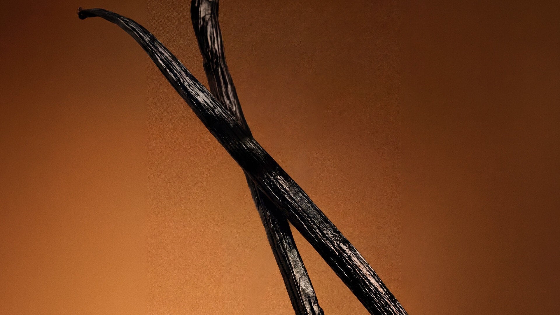 Vanilla, base note of Althair Exclusif