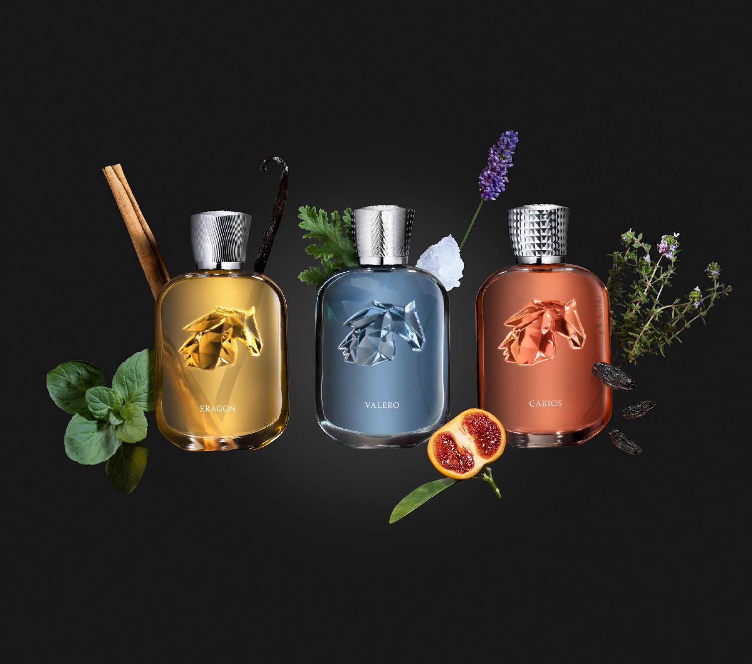 SET 5 本 Parfums de Mary Discovery Collections | Parfums de Marly | Official Website